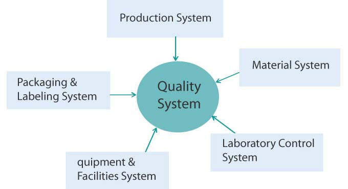 quality system